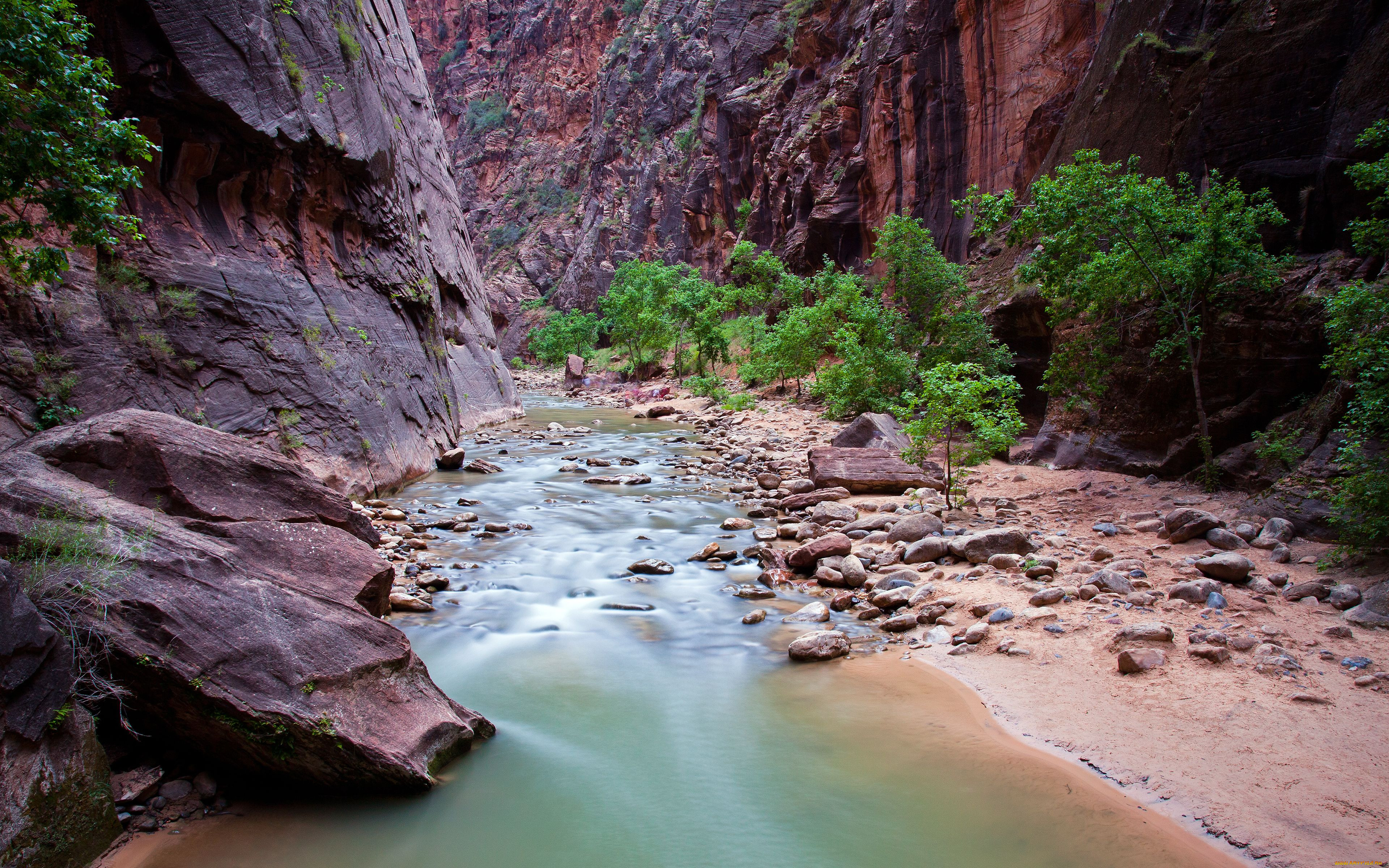 zion, national, park, utah, , , , , , , , virgin, river, , , , 